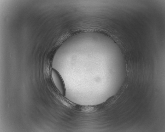 X0000081270334200701110914