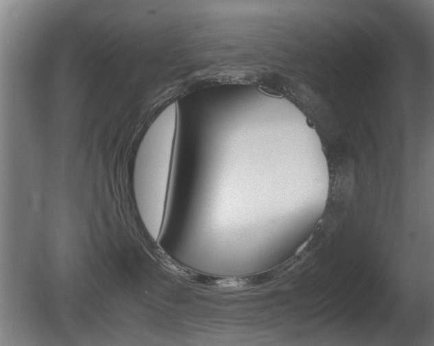 X0000081270335200701110914