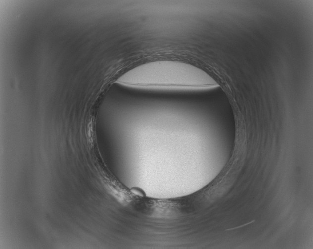 X0000081270336200701110914