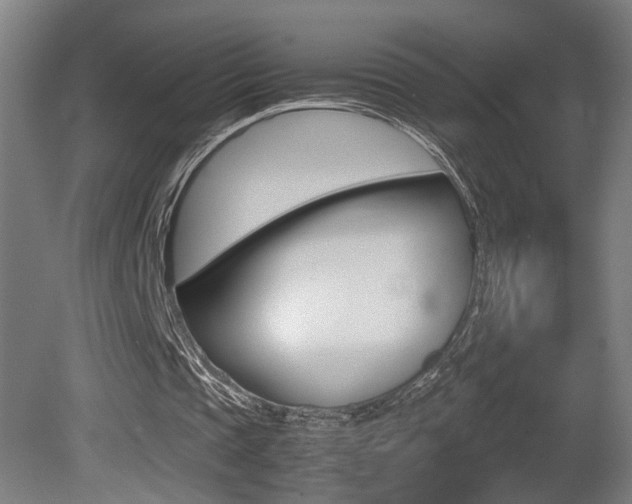X0000081270337200701110913