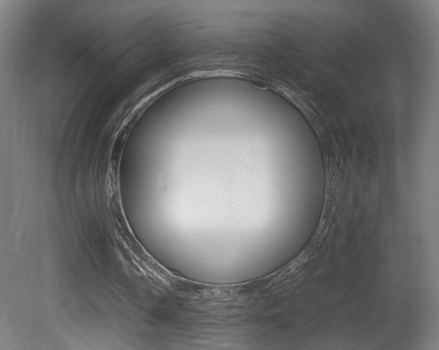 X0000081270338200701110913