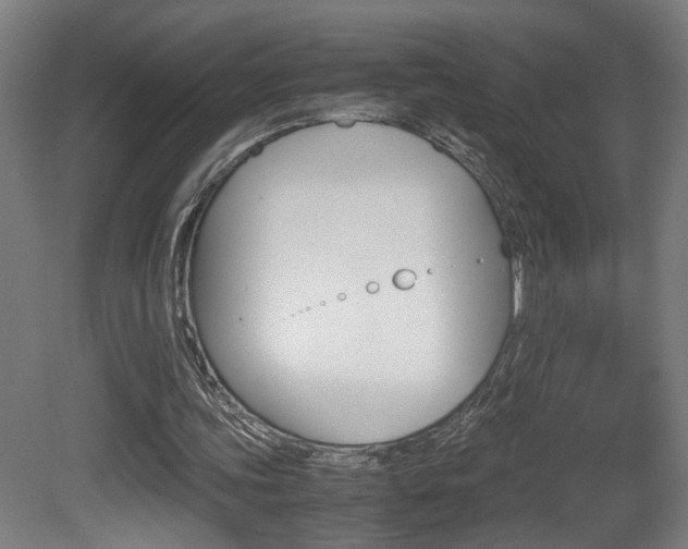 X0000081270339200701110913