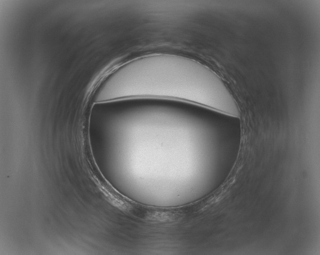 X0000081270341200701110913