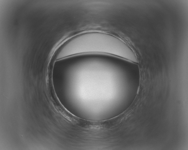 X0000081270344200701110913
