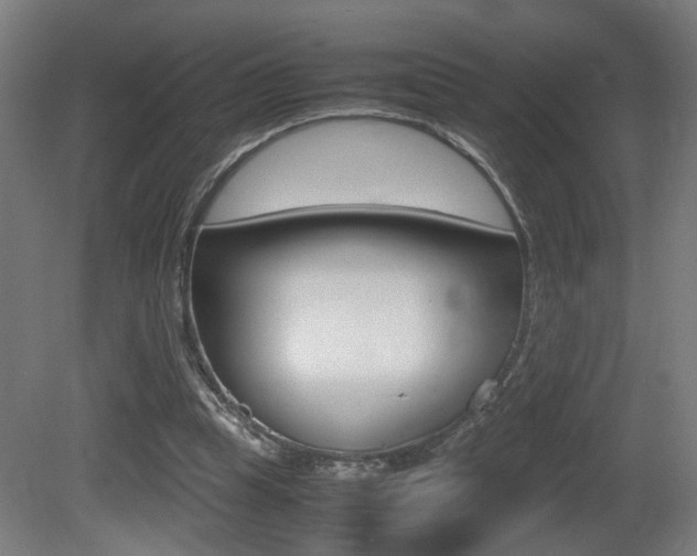 X0000081270345200701110913