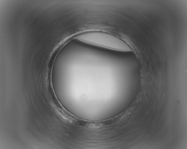 X0000081270346200701110913