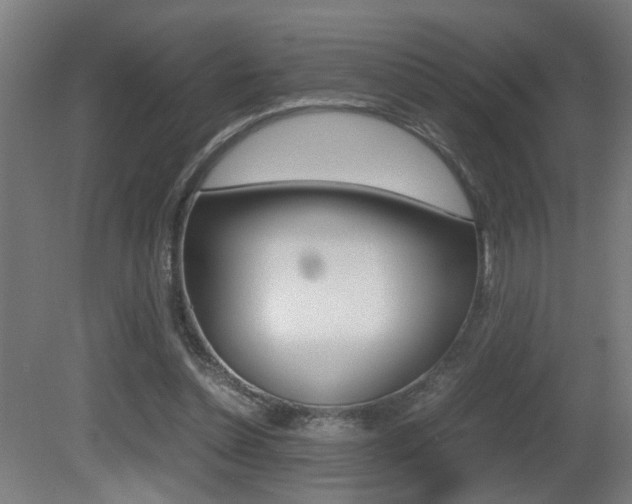 X0000081270348200701110913
