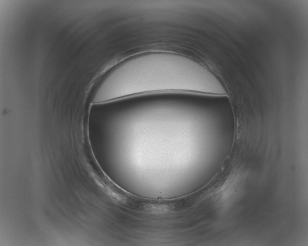 X0000081270349200701110913
