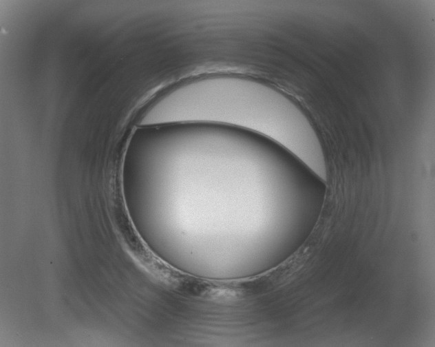 X0000081270352200701110913