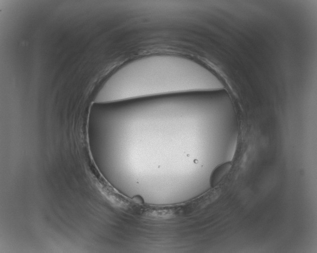 X0000081270353200701110914