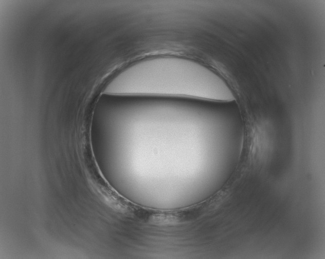 X0000081270354200701110914
