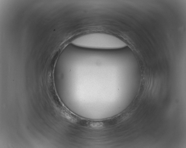 X0000081270355200701110914