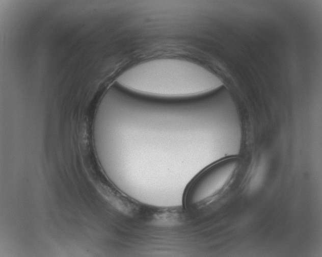 X0000081270362200701110914