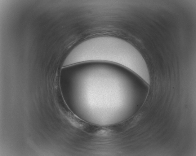X0000081270364200701110914