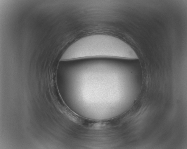 X0000081270366200701110914