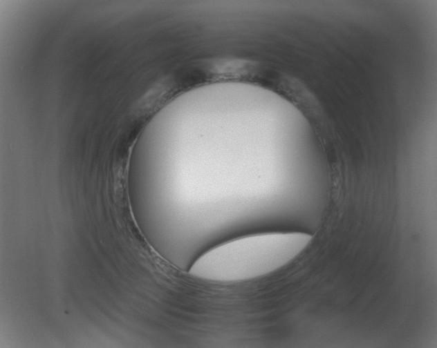 X0000081270369200701110914