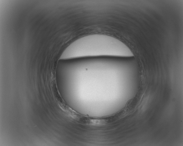 X0000081270371200701110914
