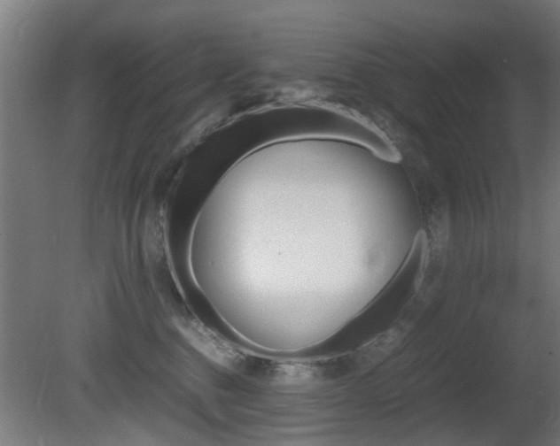 X0000081270376200701110914