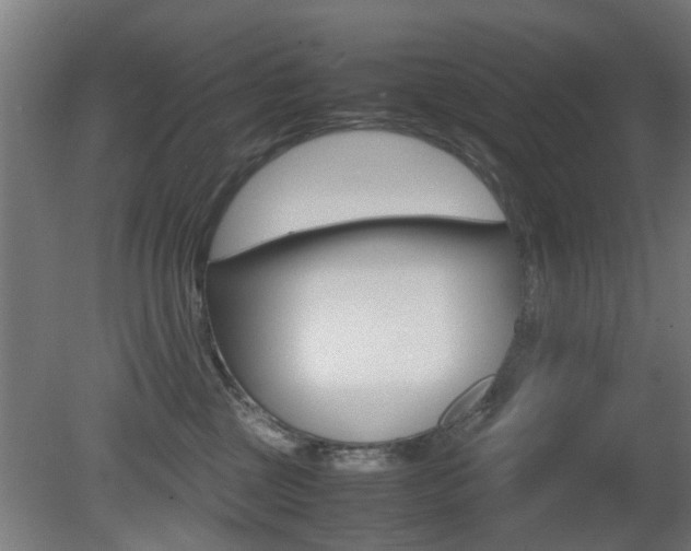 X0000081270377200701110914