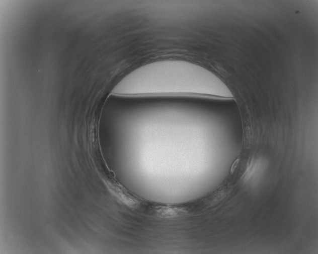 X0000081270379200701110914