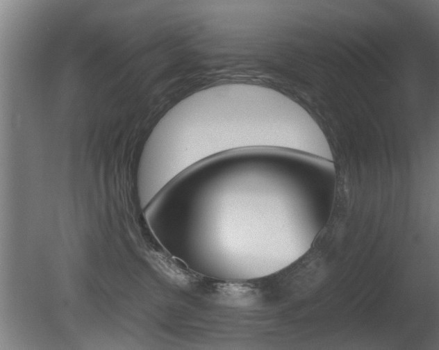 X0000081270380200701110914