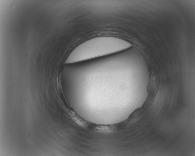 X0000081270381200701110914