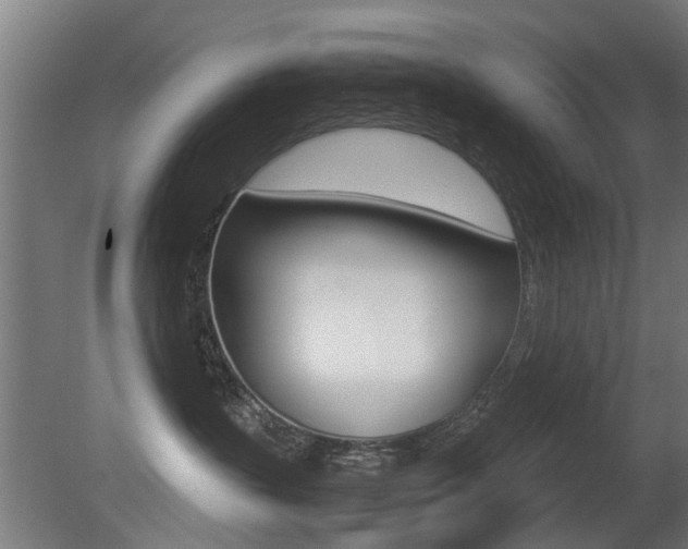 X0000081270383200701110914