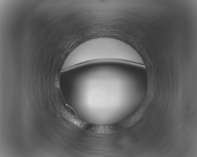 X0000081270384200701110914