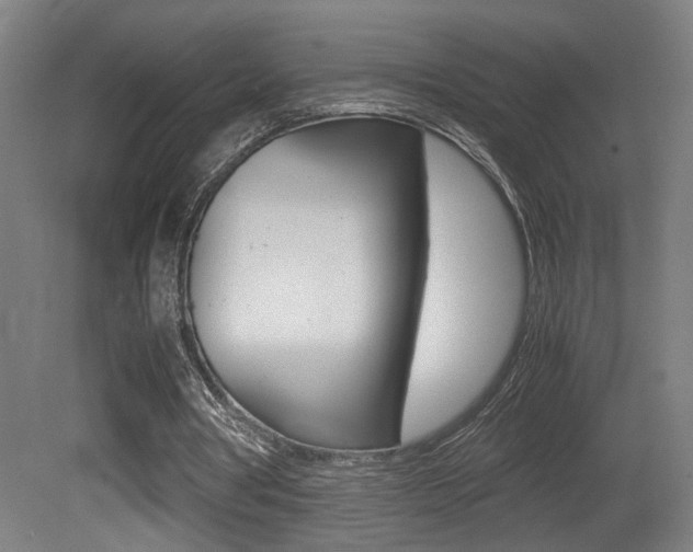 X0000081270386200701110913