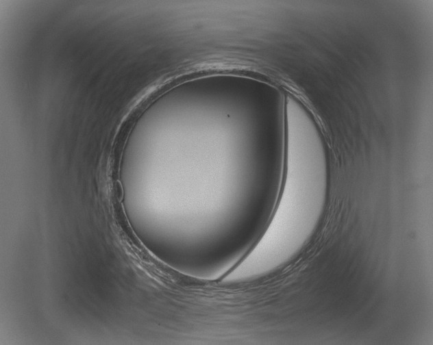 X0000081270387200701110913