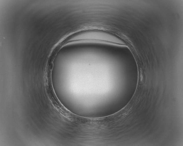 X0000081270388200701110913