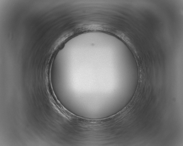 X0000081270390200701110913
