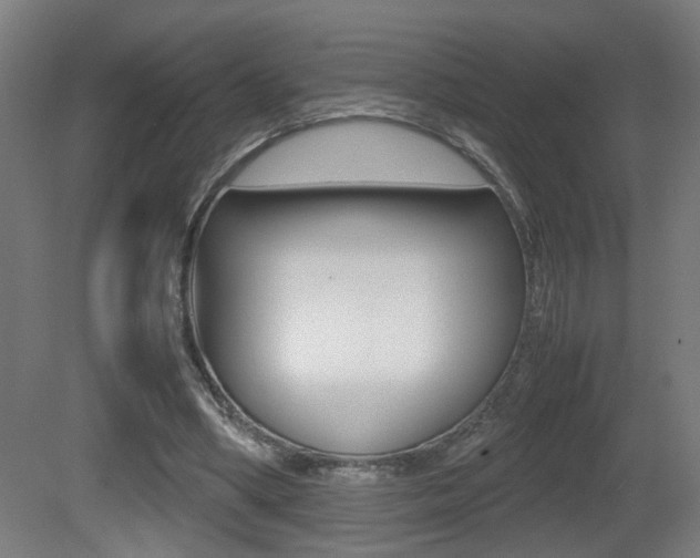 X0000081270394200701110913