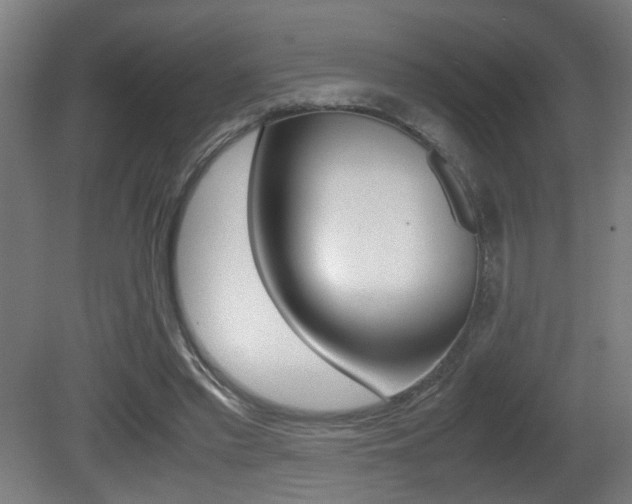 X0000081270397200701110913