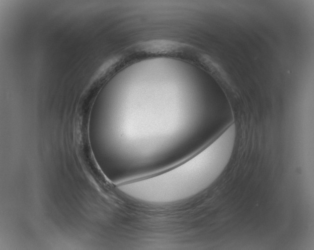 X0000081270400200701110913
