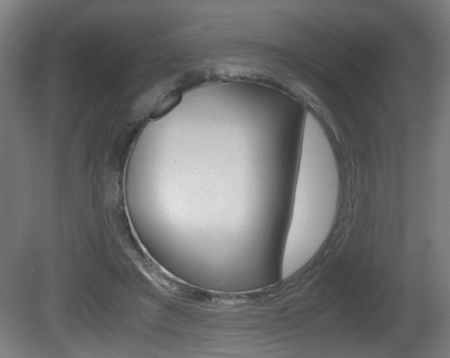 X0000081270401200701110913