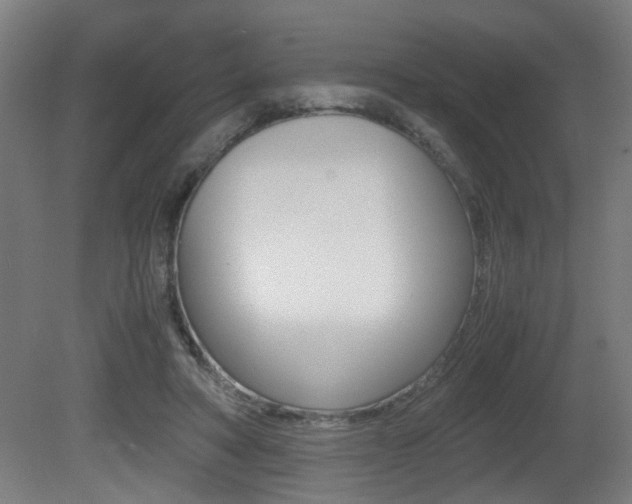 X0000081270402200701110913