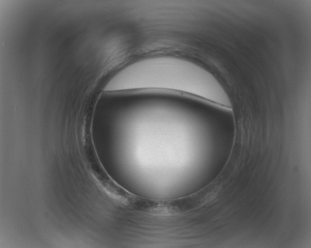 X0000081270404200701110913