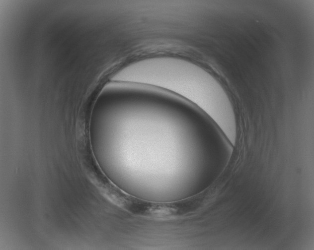 X0000081270407200701110913