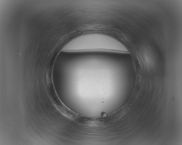 X0000081270408200701110913