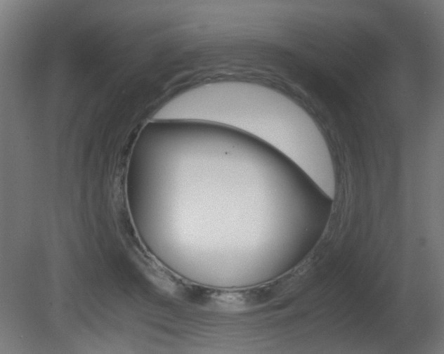 X0000081270409200701110913