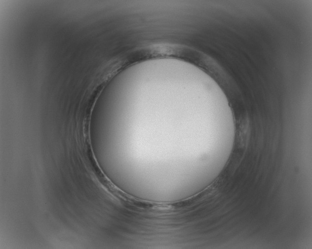X0000081270410200701110913