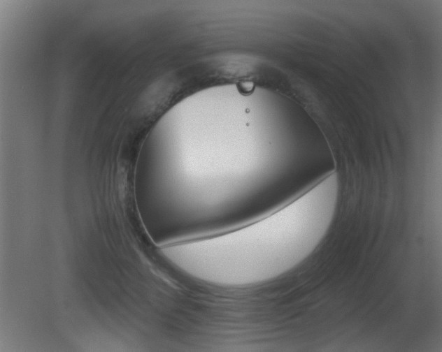 X0000081270412200701110913