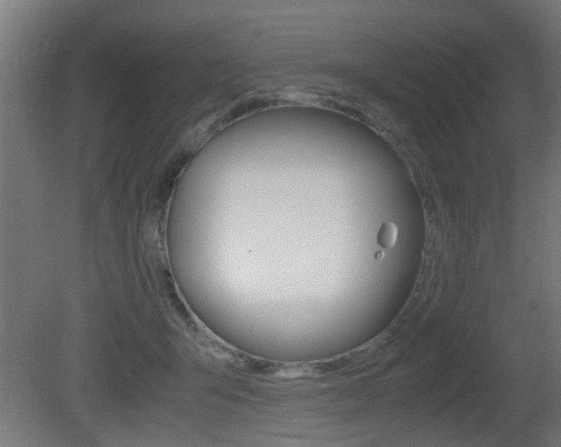 X0000081270415200701110913