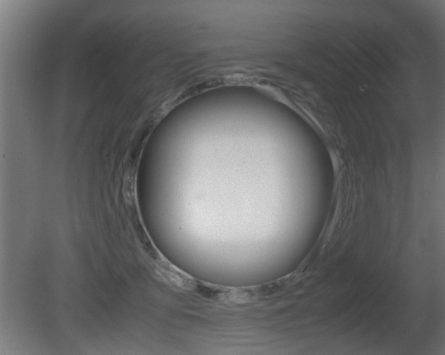 X0000081270419200701110913