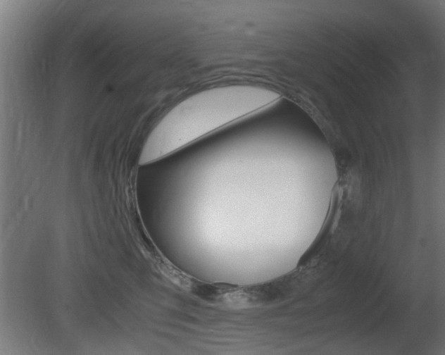 X0000081270423200701110913