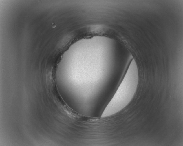 X0000081270424200701110913