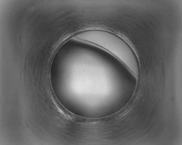 X0000081270433200701110912