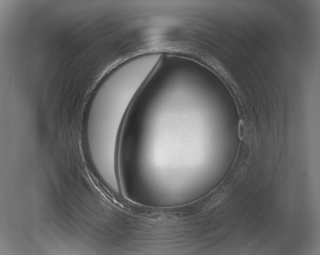 X0000081270434200701110912
