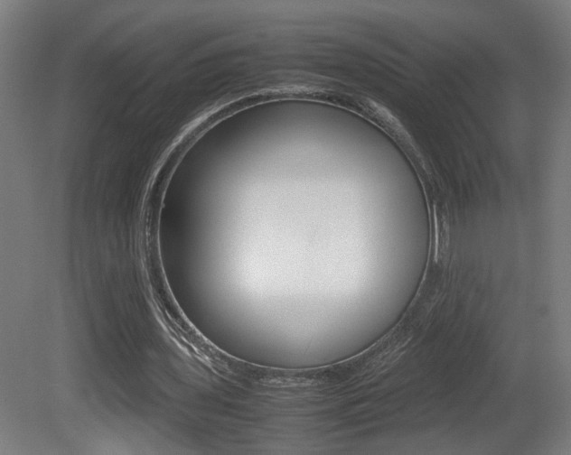 X0000081270435200701110912